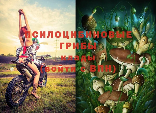 не бодяженный Арсеньев
