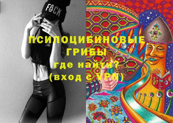 не бодяженный Арсеньев